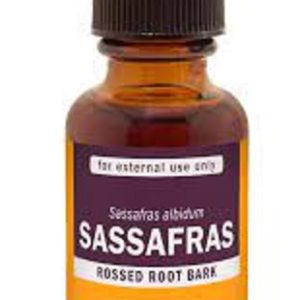 Buy Sassafras Oil